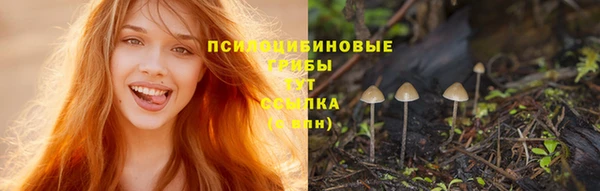 MESCALINE Осинники