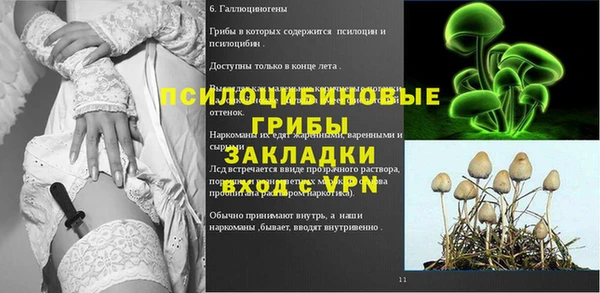 шишки Тавда