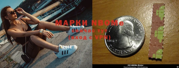 стаф Пересвет