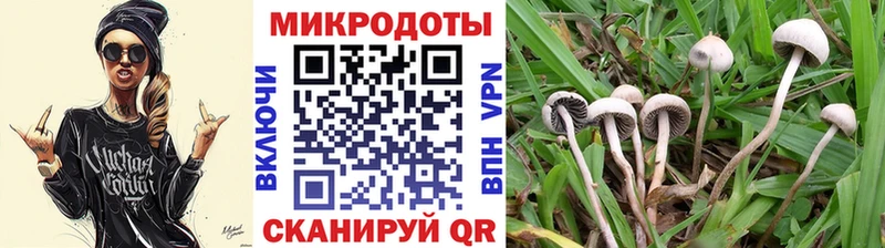 где купить наркотик Шахты кракен маркетплейс мориарти телеграм Псилоцибиновые грибы ЛСД