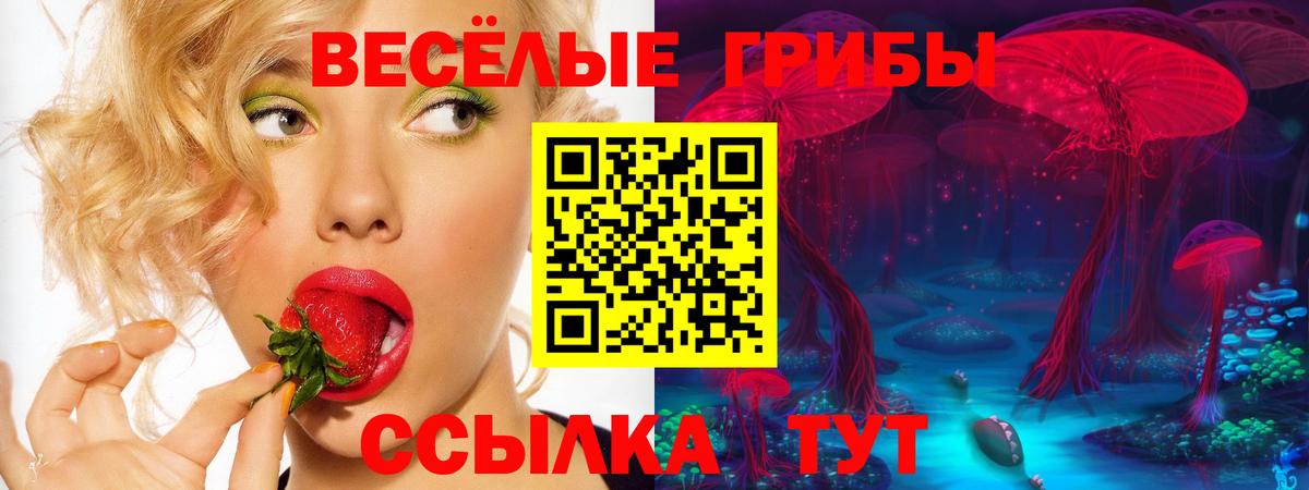 Псилоцибиновые грибы Psilocybine cubensis Шахты