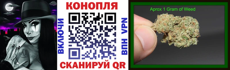 закладка  Шахты  Конопля планчик 
